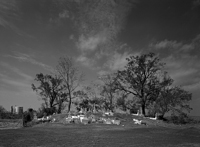 Louisiana Cemeteries and Church Yards